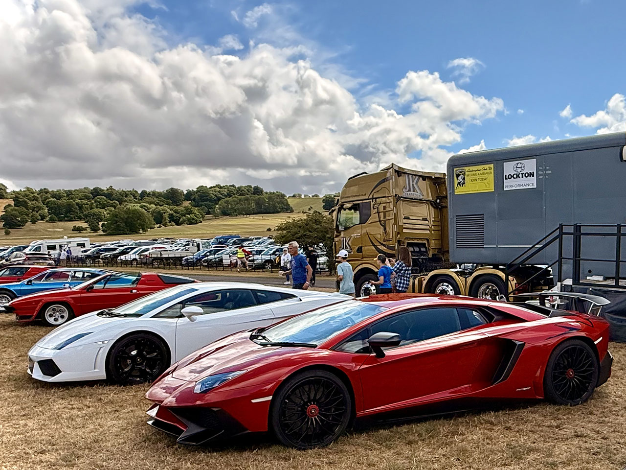 Cars lined up at Sherborne Castle Supercars show