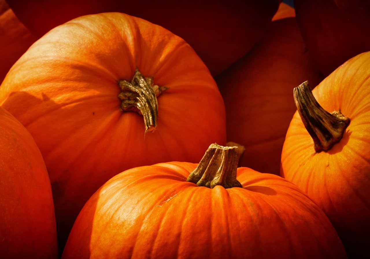 Pumpkins in a heap