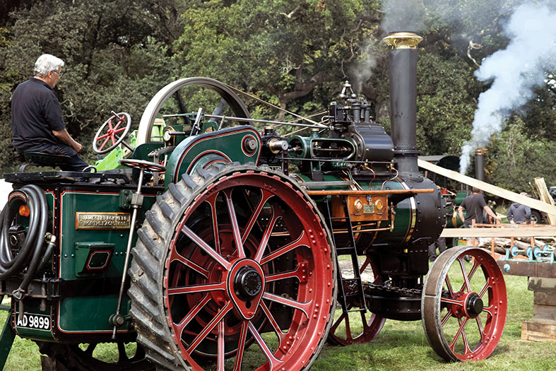 Man driving a steam engine